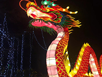 愛爾蘭中國(guó)彩燈節(jié)一票難求，受到世界人們的喜愛